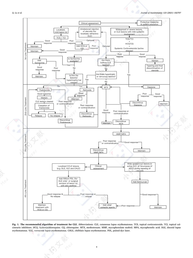 【风湿免疫领域】2021+ADA／AADV／CSD指南：皮肤红斑狼疮的诊断，治疗和长期管理