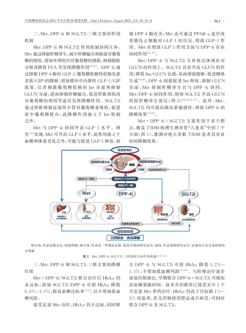 【内分泌领域】成人2型糖尿病患者口服降糖药物三联优化方案中国专家共识