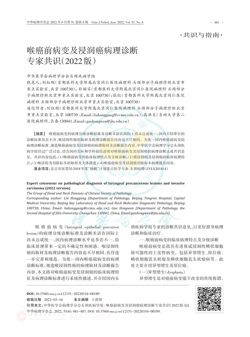 喉癌前病变及浸润癌病理诊断专家共识（2022版）