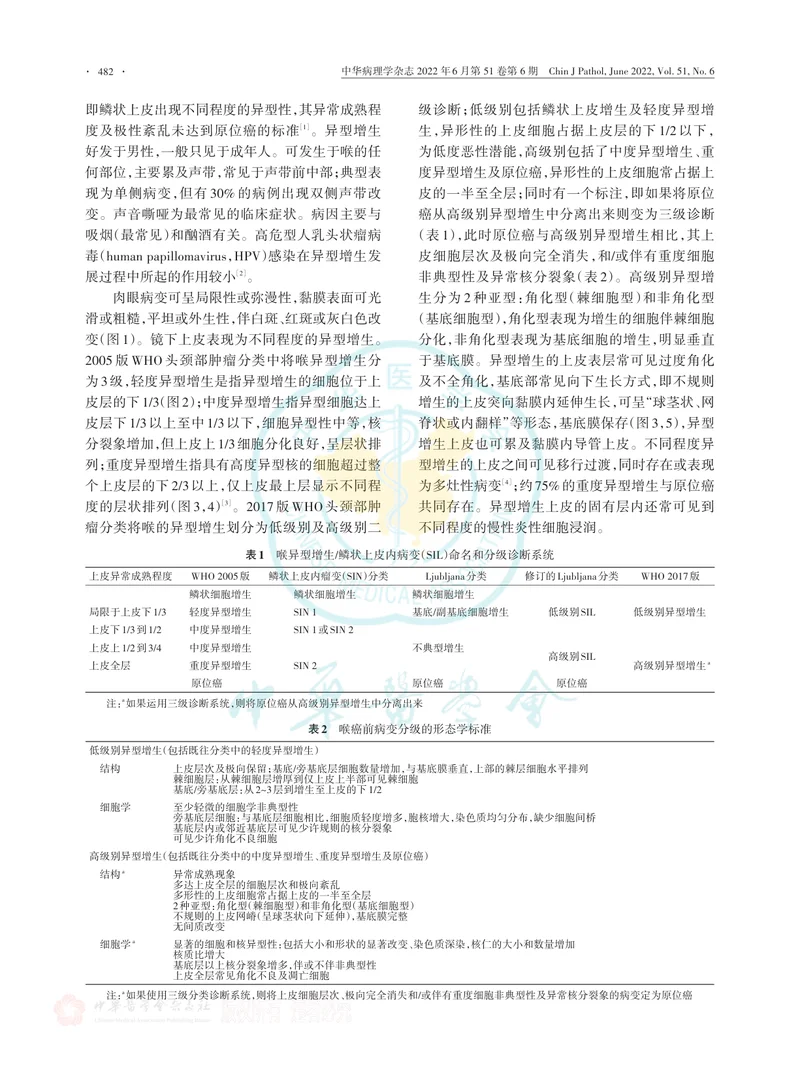 喉癌前病变及浸润癌病理诊断专家共识（2022版）