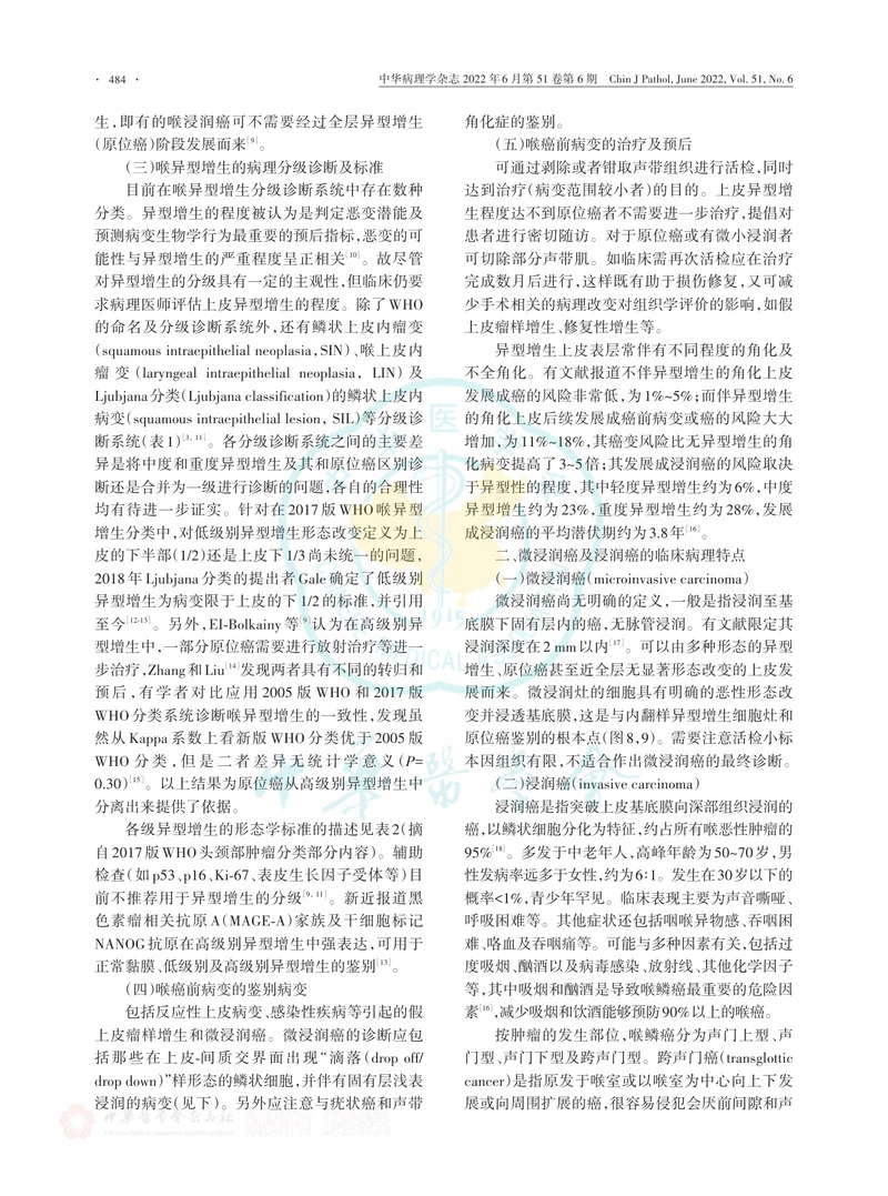 喉癌前病变及浸润癌病理诊断专家共识（2022版）