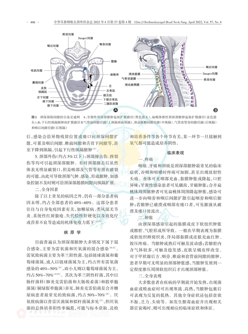 颈深部脓肿诊断与治疗专家共识（2022）