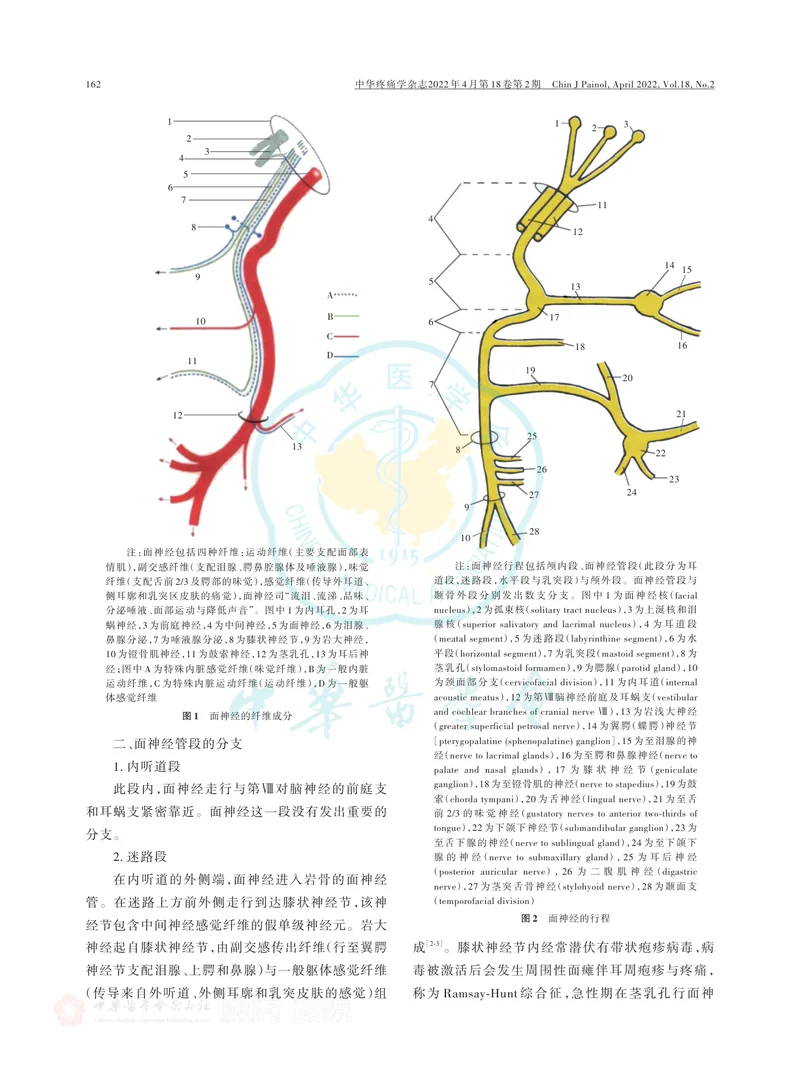 面神经阻滞（注射）疗法中国专家共识（2022版）