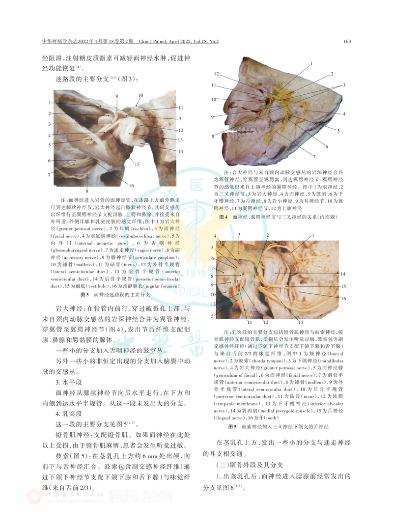 面神经阻滞（注射）疗法中国专家共识（2022版）