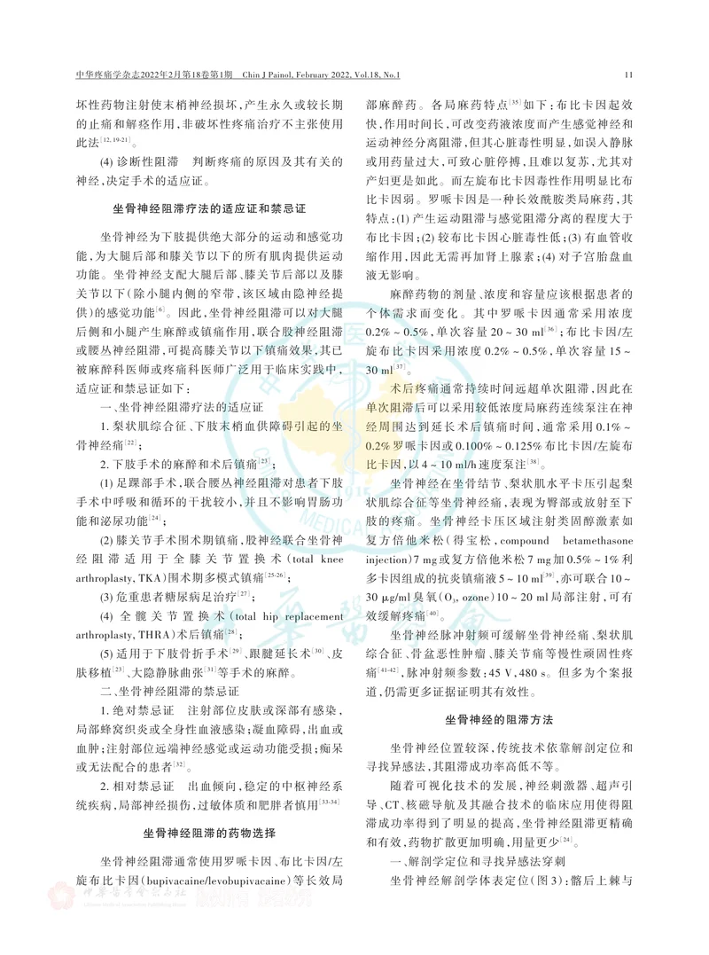 坐骨神经阻滞疗法中国专家共识（2022版）