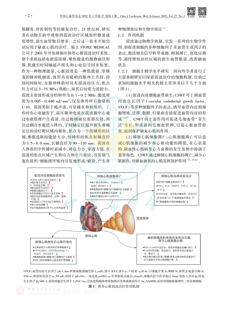 体外心脏震波治疗冠心病中国专家共识(2022版)