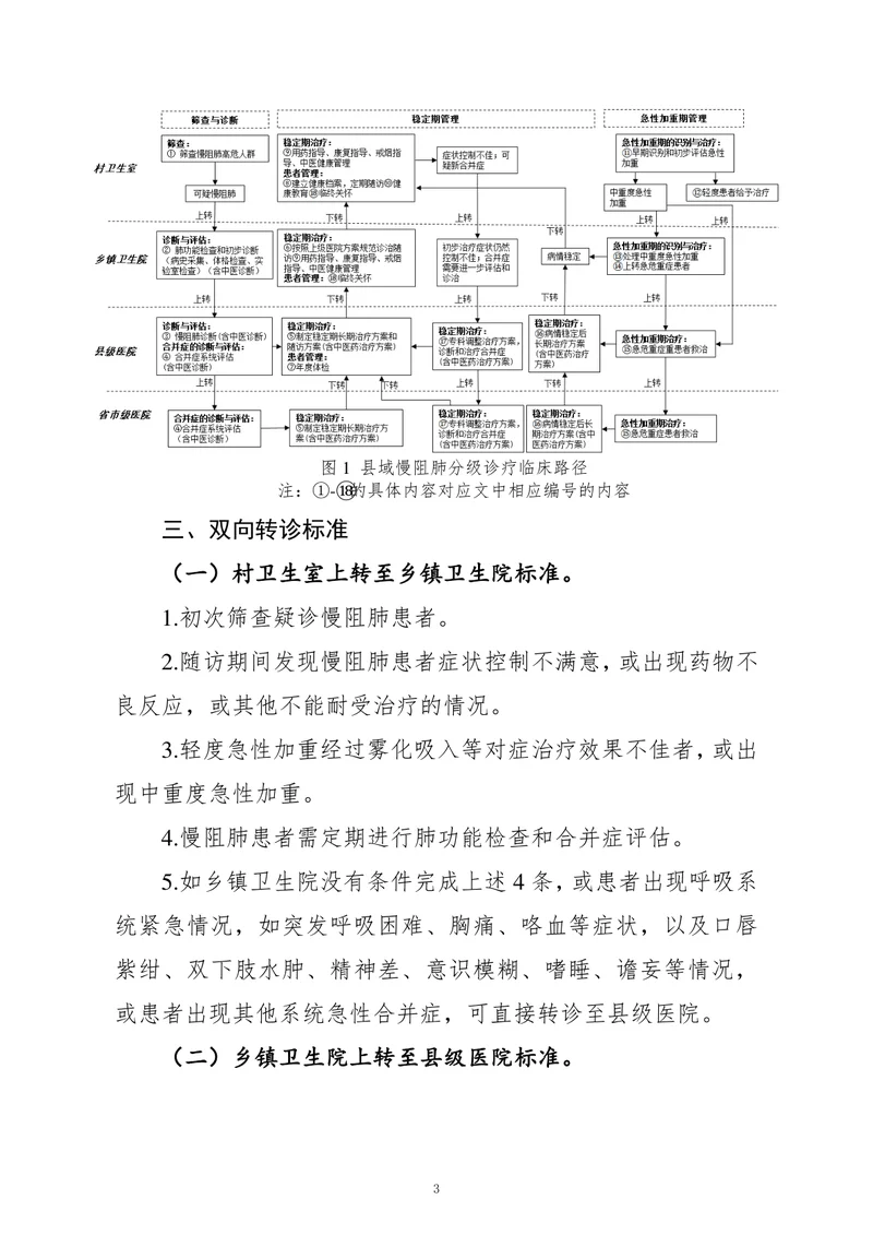 县域慢性阻塞性肺疾病分级诊疗技术方案（2022）