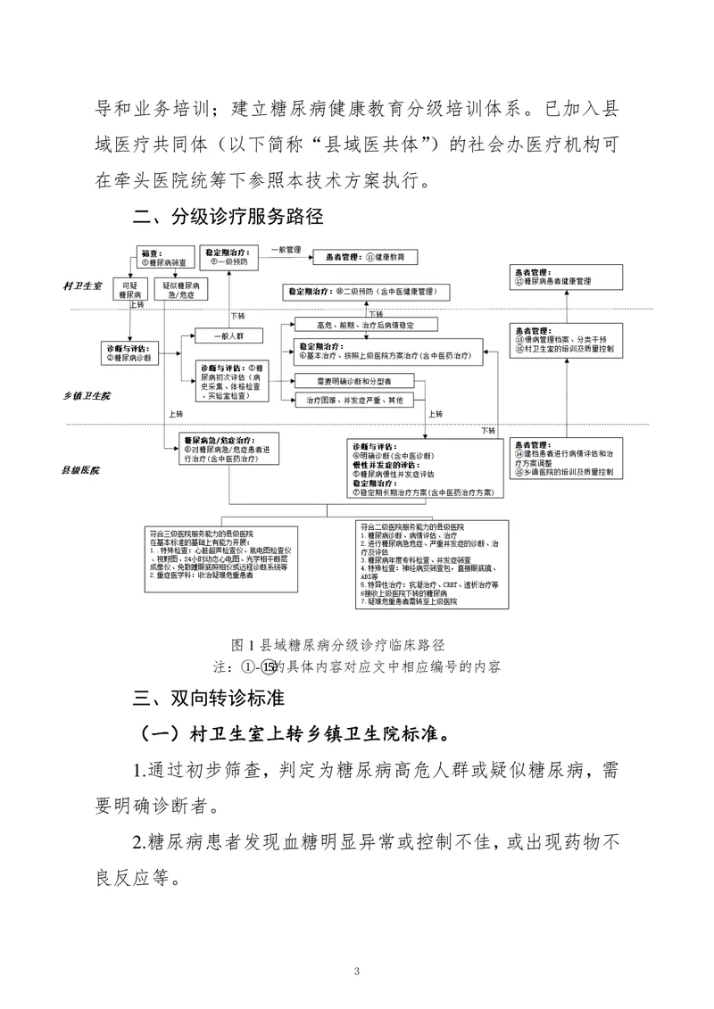 县域糖尿病分级诊疗技术方案（2022）