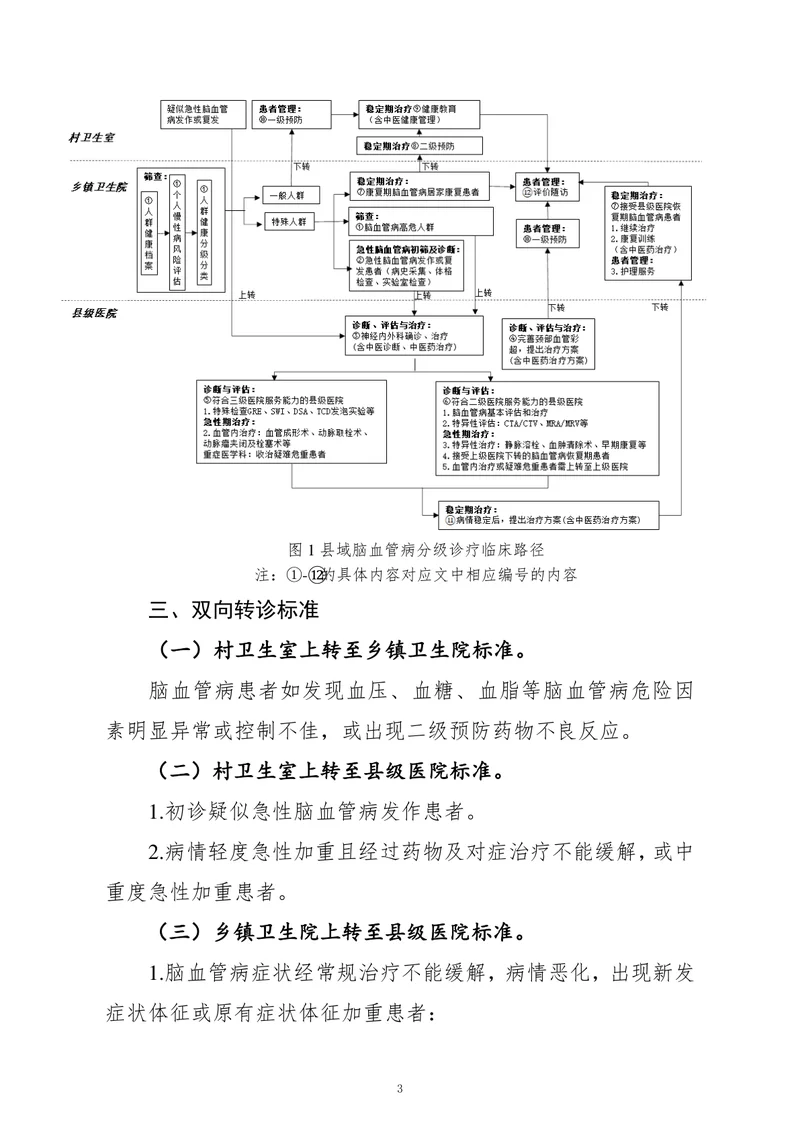 县域脑血管病分级诊疗技术方案（2022）