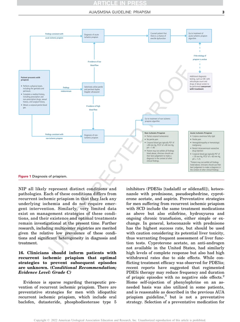AUA_SMSNA：复发性缺血性、镰状细胞患者和非缺血性阴茎异常勃起的诊断和管理指南（2022）
