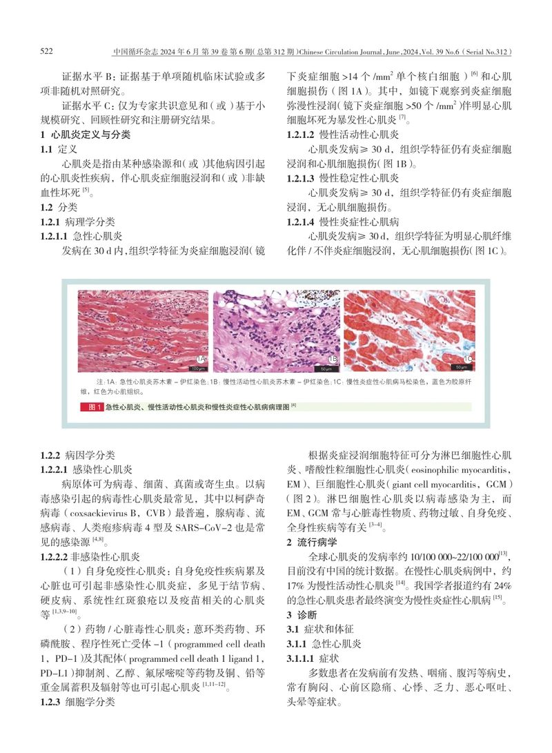 中国成人心肌炎临床诊断与治疗指南+2024