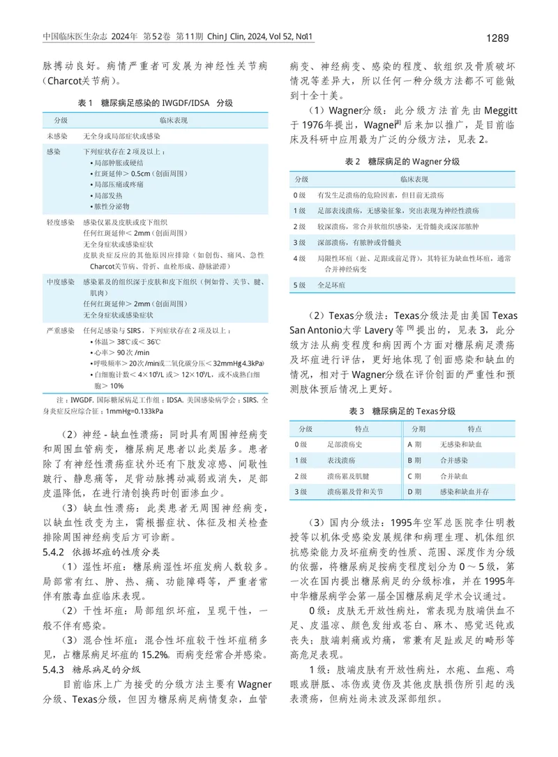 中国糖尿病足诊治指南2024