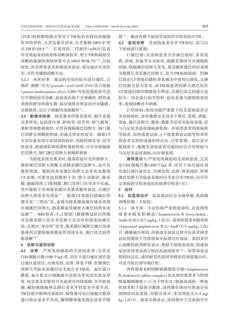 艾滋病合并马尔尼菲篮状菌病诊疗专家共识（2024年更新版）