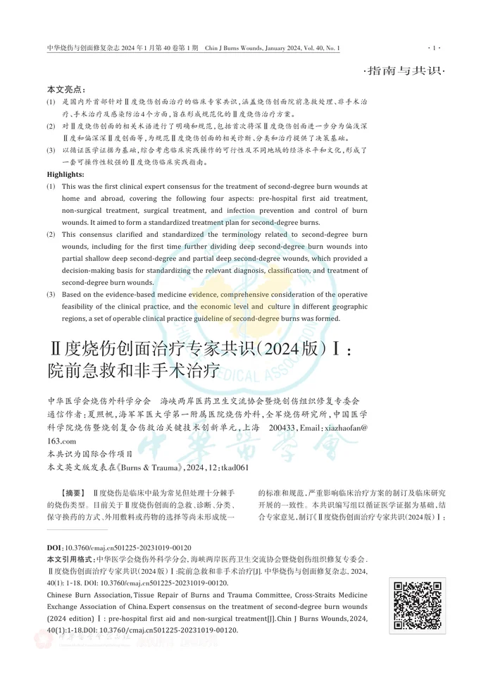 Ⅱ度烧伤创面治疗专家共识（2024版）Ⅰ：院前急救和非手术治疗