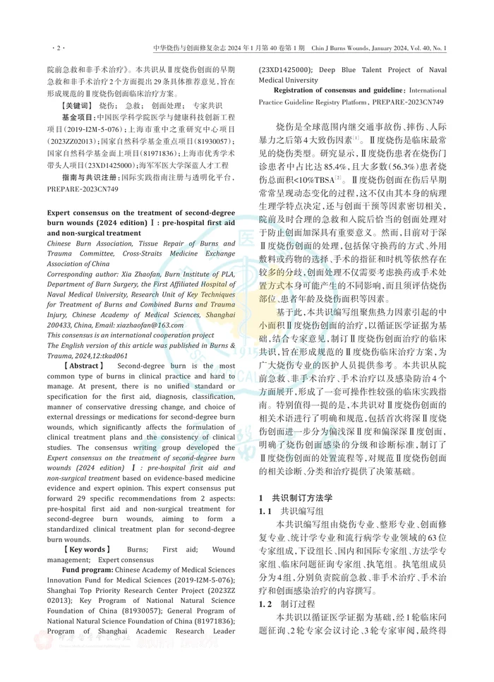 Ⅱ度烧伤创面治疗专家共识（2024版）Ⅰ：院前急救和非手术治疗