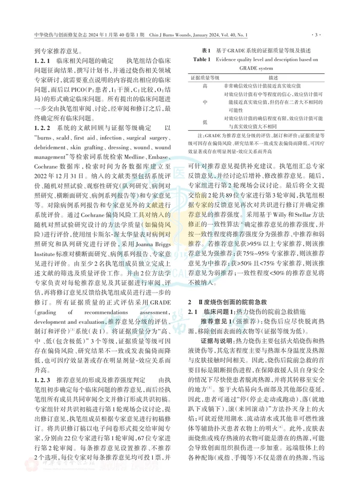 Ⅱ度烧伤创面治疗专家共识（2024版）Ⅰ：院前急救和非手术治疗