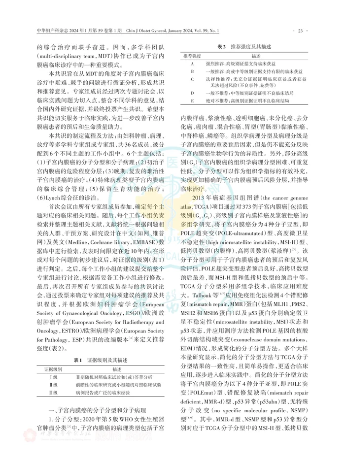 子宫内膜癌多学科团队协作诊疗临床实践中国专家共识
