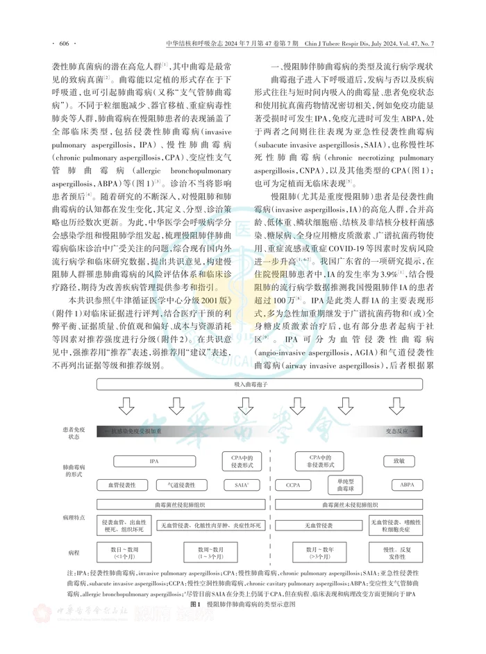 慢性阻塞性肺疾病伴肺曲霉病诊治和管理专家共识