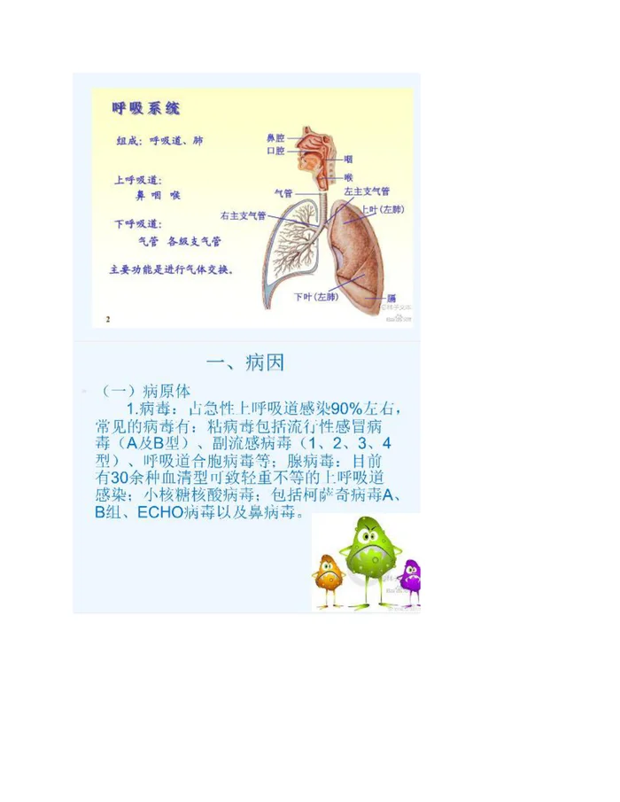 儿童上呼吸道感染PPT