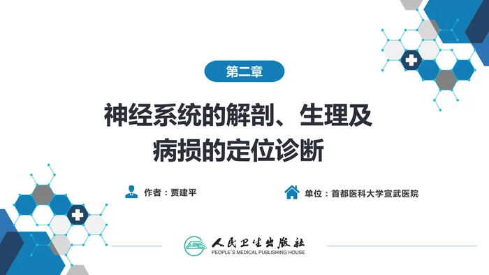 第二章 神经系统的解剖、生理及病损的定位诊断（2）