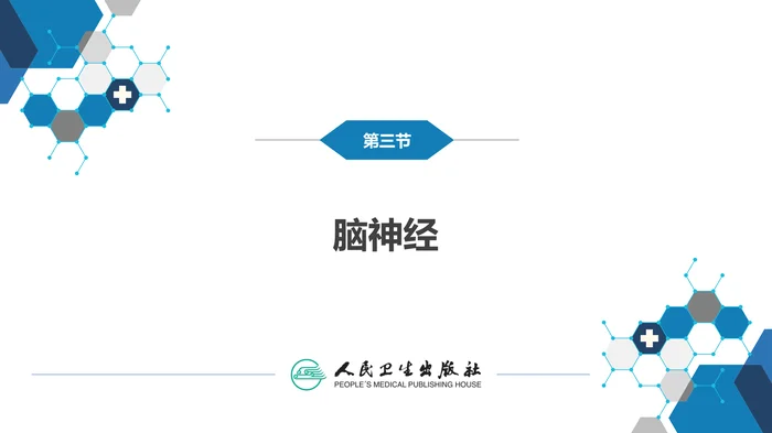 第二章 神经系统的解剖、生理及病损的定位诊断（3）