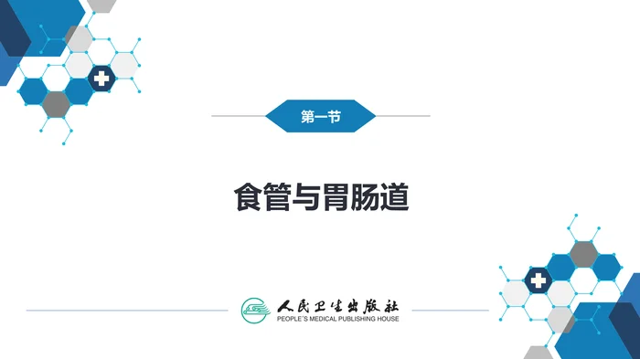 第七章 消化系统与腹膜腔 第一节 食管与胃肠道