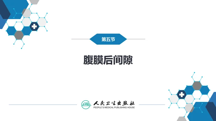 第八章 泌尿生殖系统与腹膜后间隙 第五节 腹膜后间隙