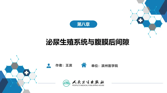 第八章 泌尿生殖系统与腹膜后间隙 第四节 男性生殖系统