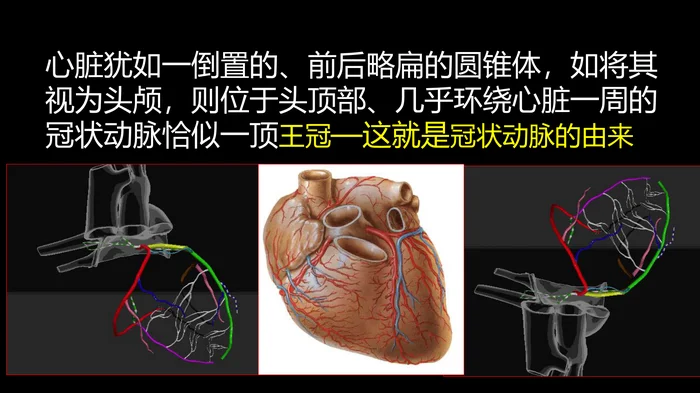 多层螺旋CT冠状动脉疾病诊断再学习之一