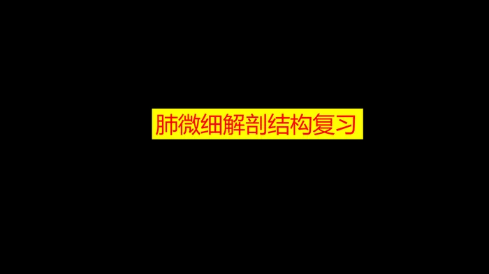 肺部影像学部分病理征象解读