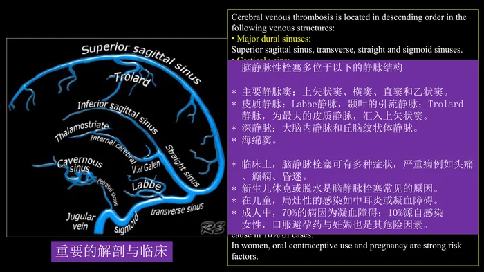 脑静脉血栓形成影像学