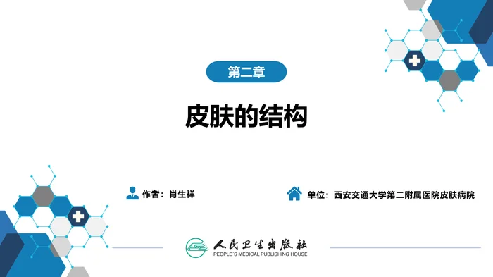 第二章  皮肤的结构