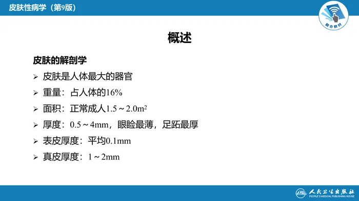 第二章  皮肤的结构