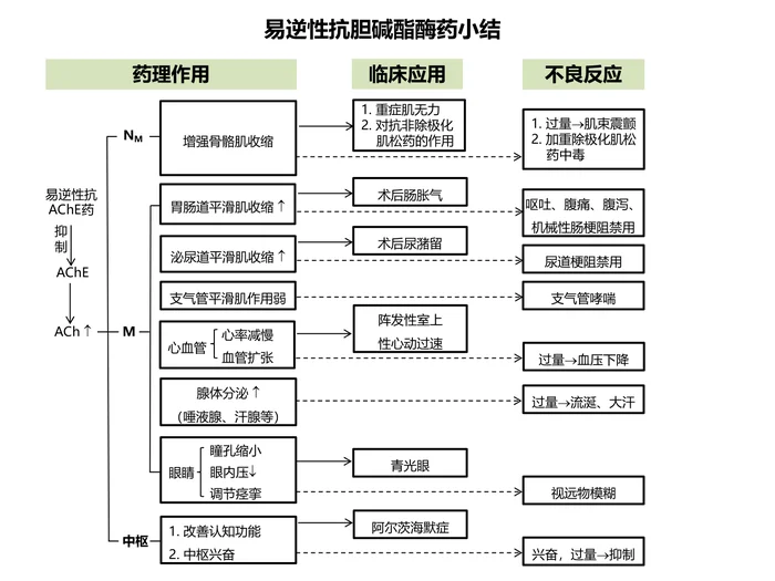 第七章 抗胆碱酯酶药和胆碱酯酶复活药 本章小结：易逆性抗胆碱酯酶药