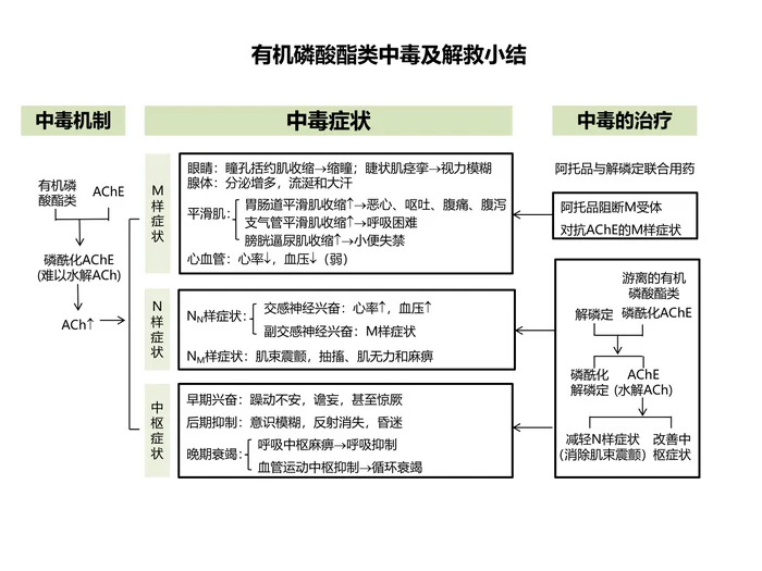 第七章 抗胆碱酯酶药和胆碱酯酶复活药 本章小结：有机磷酸酯类中毒及解救