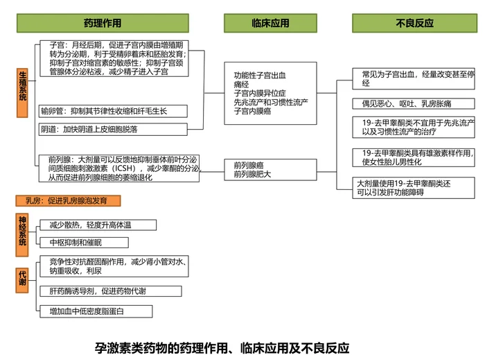 第三十四章 性激素类药及避孕药 本章小结