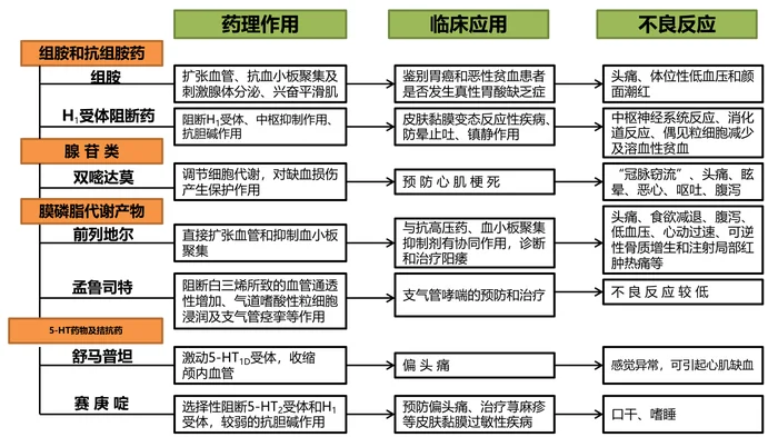 第三十章 影响自体活性物质的药物 本章小结