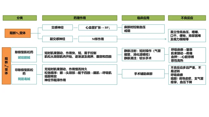 第九章 胆碱受体阻断药（Ⅱ)&mdash;&mdash;N胆碱受体阻断药 本章小结