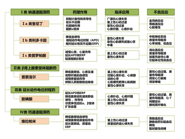 第二十二章 抗心律失常药 本章小结