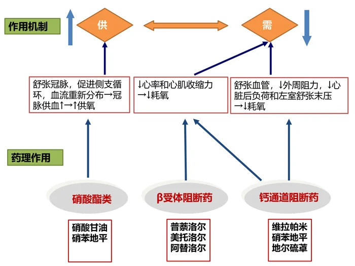 第二十八章 抗心绞痛药 本章小结
