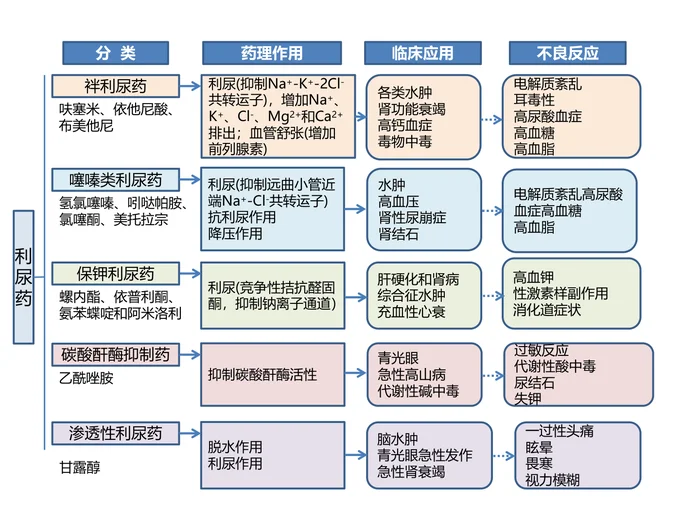 第二十四章 利尿药 本章小结