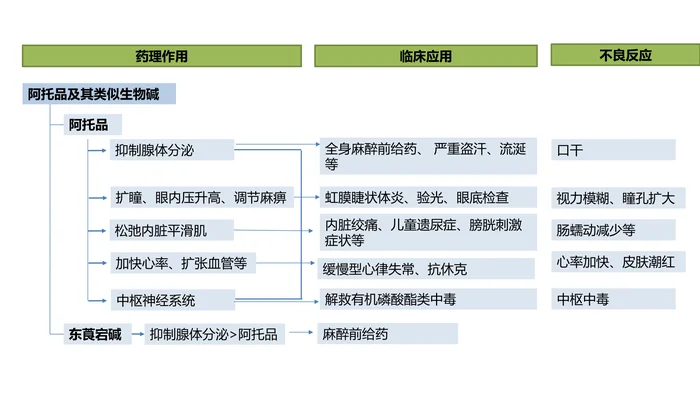 第八章 胆碱受体阻断药（Ⅰ)&mdash;&mdash;M胆碱受体阻断药 本章小结