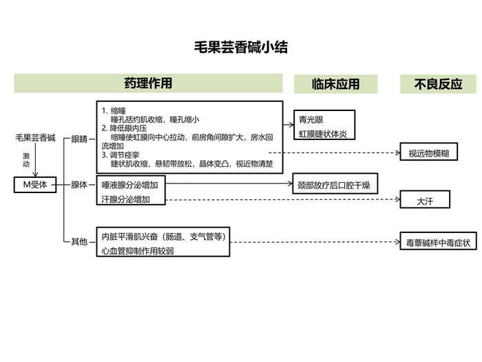 第六章 胆碱受体激动药 本章小结：毛果芸香碱