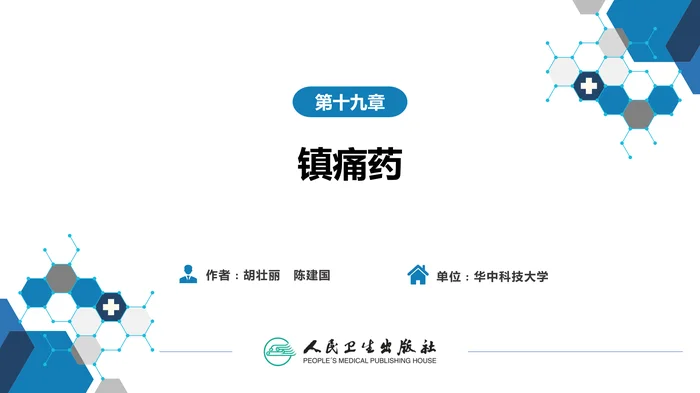 第十九章 镇痛药