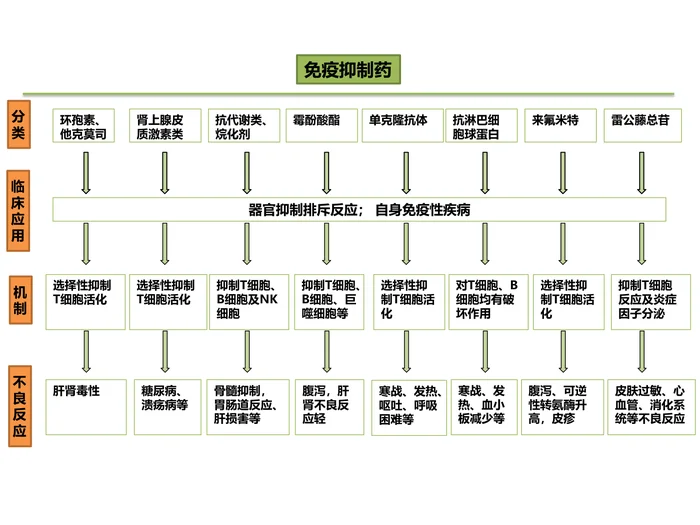 第四十九章 影响免疫功能的药物 本章小结