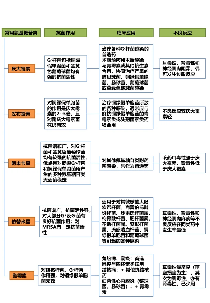 第四十二章 氨基苷类抗生素 本章小结