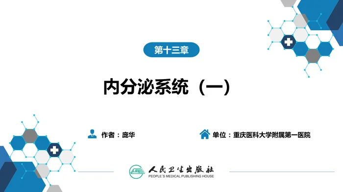 第二篇 临床篇 第十三章 内分泌系统（一）
