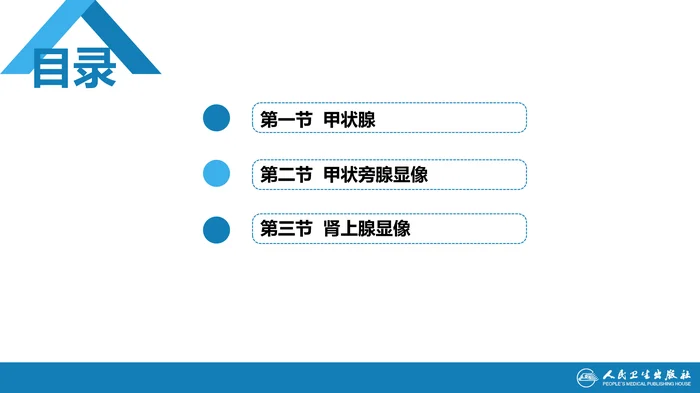 第二篇 临床篇 第十三章 内分泌系统（一）