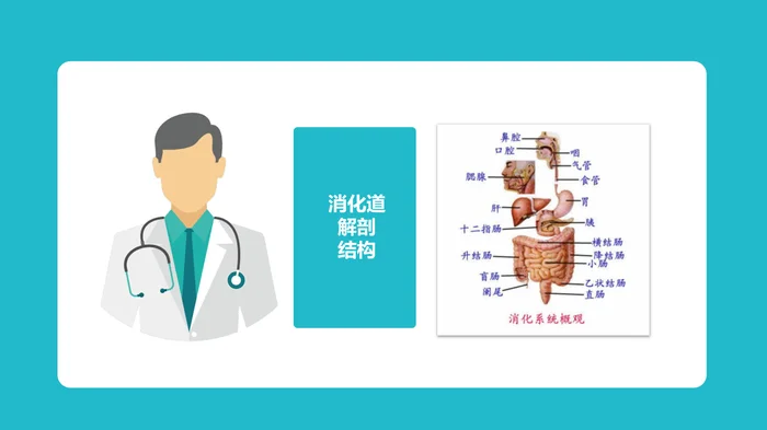 便秘的临床治疗及护理